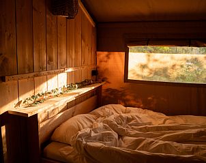 Unterkunft 051083 - Zelthaus Limburg - Safaritent incl. sanitair