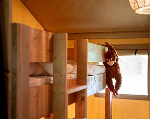 Unterkunft 051083 - Zelthaus Limburg - Safaritent incl. sanitair