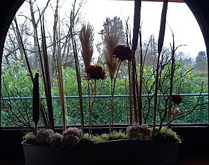 Unterkunft 051104 - Ferienhaus Limburg - Huisje in Hechtel-Eksel