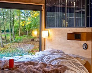 Guest house 051114 - Holiday property Limburg - Vakantiehuisje in Hechtel Eksel