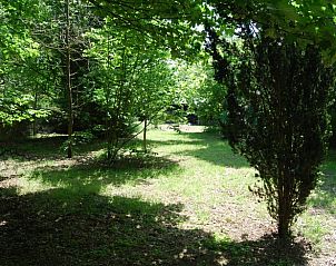 Unterkunft 051118 - Ferienhaus Limburg - Vakantiehuis in Hechtel-Eksel
