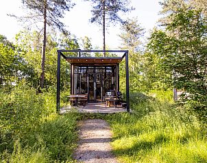 Veranda van Sweet Cabin in Neeroeteren, Limburg, Belgi, met uitzicht op groene omgeving en bosrijke natuur.