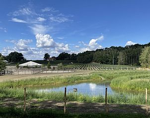 Verblijf 0513303 - Vakantiewoning Limburg - Sweet Cabin