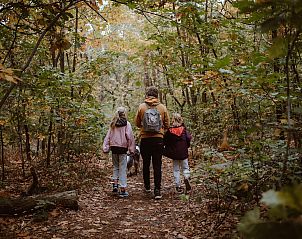 Unterkunft 0513304 - Ferienhaus Limburg - Comfort Studio (4p)