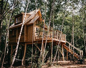 Tree House 2, een unieke boomhut in Neeroeteren, Limburg, Belgi, omgeven door weelderige bossen en een rustieke houten structuur.