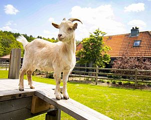 Unterkunft 0513308 - Ferienhaus Limburg - Tree House 1