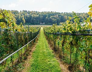 Unterkunft 0513309 - Ferienhaus Limburg - Appartement