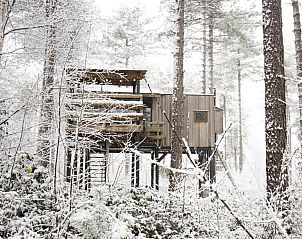 Baumkronen-Ferienhaus in Neeroeteren, Limburg, Belgien, umgeben von hohen Bumen auf dem Lande.