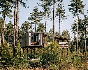 Baumkronen-Glamping-Lodge in Neeroeteren, Limburg, Belgien, mit Holztreppe und Terrasse im Wald.