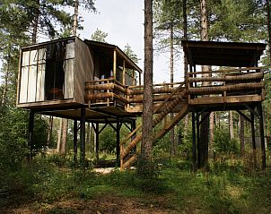 Veranda des Treetop-Ferienhauses in Neeroeteren, Limburg, Belgien, mit Blick auf den Wald.