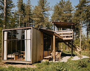 Treetrunk, een vakantiehuis in Neeroeteren, Limburg, Belgi, met houten veranda en uitzicht op het bos.