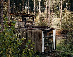 Rustieke glamping lodge Treetrunk in Neeroeteren, Limburg, omringd door groene natuur en bomen.