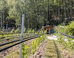 Gemtliches Schlafzimmer im Hobbit House 1, einem einzigartigen Ferienhaus in Neeroeteren, Limburg, Belgien, mit rustikalen Etagenbetten aus Holz.