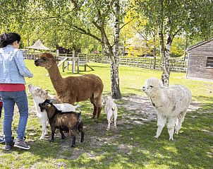Verblijf 0513324 - Vakantiewoning Limburg - Connecting rooms (appartement + studio)