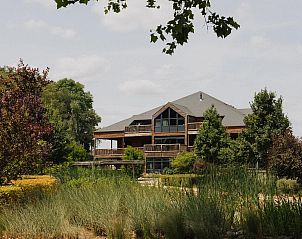 Guest house 0513324 - Holiday property Limburg - Treetop met hottub