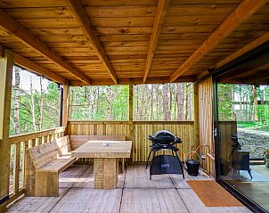 Innenansicht des Comfort Classic Ferienhauses in Neeroeteren, Limburg, Belgien, mit Blick auf die Veranda und die umliegenden Wlder.