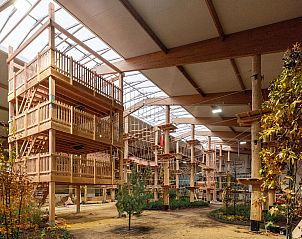 Unterkunft 0513329 - Ferienhaus Limburg - Tree House 5 met hottub