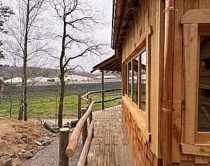 Verblijf 0513329 - Vakantiewoning Limburg - Tree House 5 met hottub