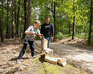 Verblijf 0513338 - Vakantiewoning Limburg - Huisje in Maaseik