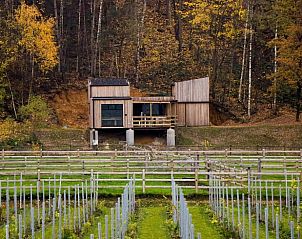 Vakantiehuis in Maaseik, Neeroeteren, Belgi, omgeven door herfstbos en wijngaarden, ideaal voor natuurliefhebbers en rustzoekers.