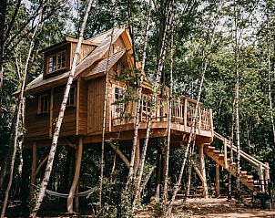 Guest house 0513341 • Holiday property Limburg • Huisje in Maaseik 