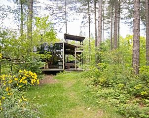 Huisje in Maaseik, vakantiehuis in Neeroeteren, Limburg, Belgi, omgeven door serene natuur en weelderige bossen.