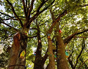 Verblijf 0513344 - Vakantiewoning Limburg - Huisje in Maaseik