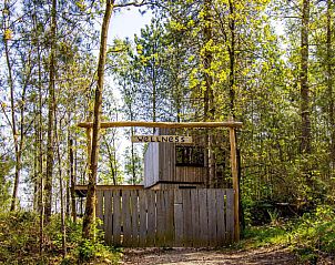 Ontdek de serene wellness van Huisje in Maaseik, een vakantiehuis in de natuur van Neeroeteren, Limburg, Belgi.