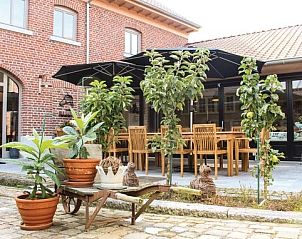 Unterkunft 051835 - Ferienhaus Limburg - Het eenhoornhof