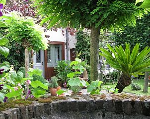 Unterkunft 052002 - Ferienhaus Limburg - Vakantiehuis in Zonhoven