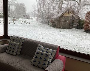 Unterkunft 052002 - Ferienhaus Limburg - Vakantiehuis in Zonhoven