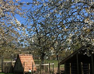 Unterkunft 0521701 - Ferienhaus Limburg - Huisje in Heks - Heers