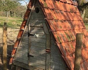Unterkunft 0521701 - Ferienhaus Limburg - Huisje in Heks - Heers