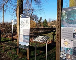 Unterkunft 0522302 - Ferienhaus Limburg - De Lokroep