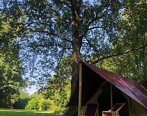 Unterkunft 0523304 - Ferienhaus Limburg - Huisje in pelt