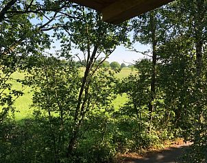 Unterkunft 0523304 - Ferienhaus Limburg - Huisje in pelt