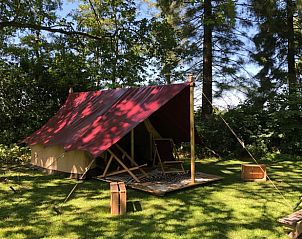 Unterkunft 0523304 - Ferienhaus Limburg - Huisje in pelt