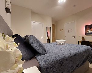 Guest house 0523803 - Bed and Breakfast Limburg - B&B Viator Tongeren