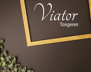 Guest house 0523803 - Bed and Breakfast Limburg - B&B Viator Tongeren