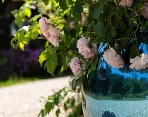 Guest house 0526602 - Holiday property Limburg - Vakantiehuis in Bilzen-Hoeselt