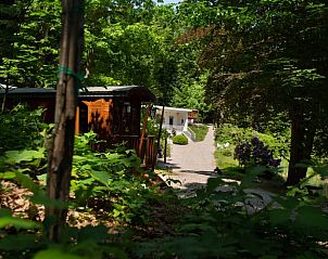 Guest house 0526602 - Holiday property Limburg - Vakantiehuis in Bilzen-Hoeselt