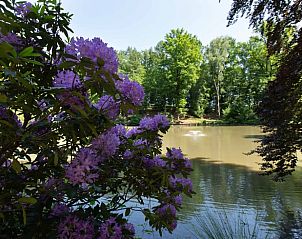 Guest house 0526602 - Holiday property Limburg - Vakantiehuis in Bilzen-Hoeselt