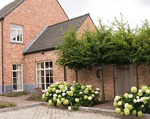 Guest house 0526704 - Holiday property Limburg - Hof Der Heerlijckheid