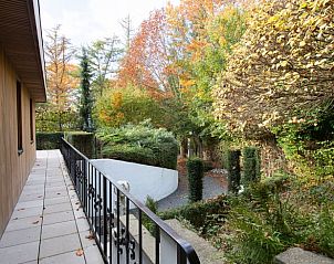 Unterkunft 052907 - Ferienhaus Limburg - Vakantiehuisje in hoeselt