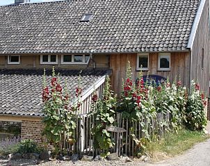 Unterkunft 053001 • Ferienhaus Limburg • hoeve de vrijheerlijkheid 