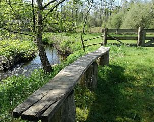 Rustikale Umgebung im Cottage in Opoeteren, Ferienhaus in Limburg, Belgien, mit natrlicher Schnheit und ruhigem Bach.