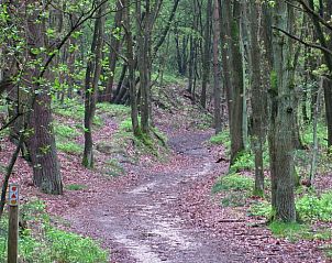 Unterkunft 053304 - Ferienhaus Limburg - Huisje in Opoeteren
