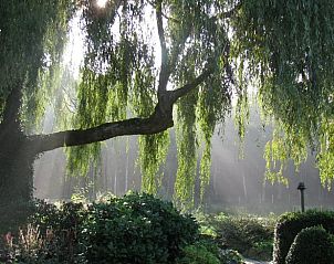 Unterkunft 053304 - Ferienhaus Limburg - Huisje in Opoeteren