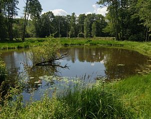 Guest house 053305 - Holiday property Limburg - Op 't Busselen