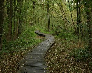 Guest house 053305 - Holiday property Limburg - Op 't Busselen